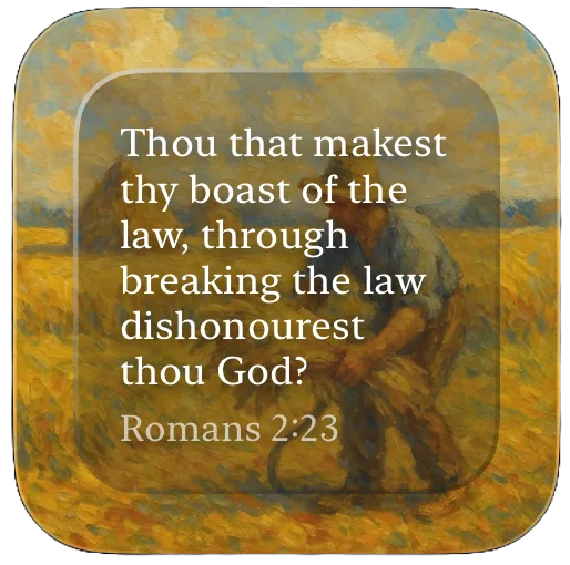 Romans 2:23 Bible verse widget for iPhone